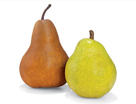 This is the image description nutrição-saudável-tratamento