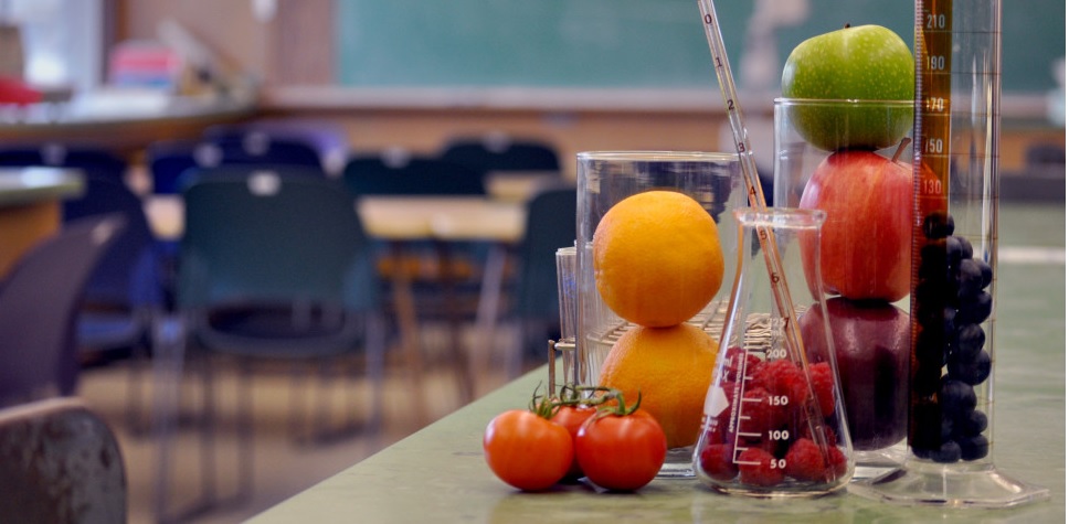 uma-vida-melhor-nutricionista-medicinal